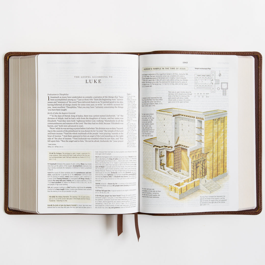 ESV Study Bible - Cowhide, Deep Brown