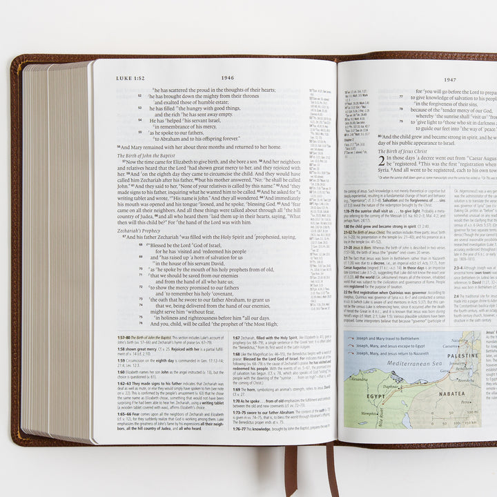 ESV Study Bible - Cowhide, Deep Brown