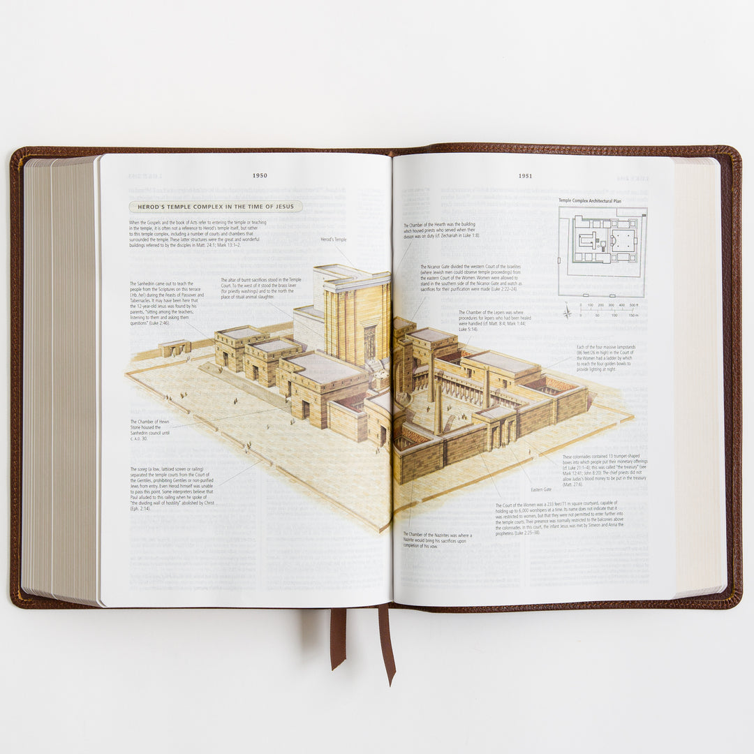 ESV Study Bible - Cowhide, Deep Brown