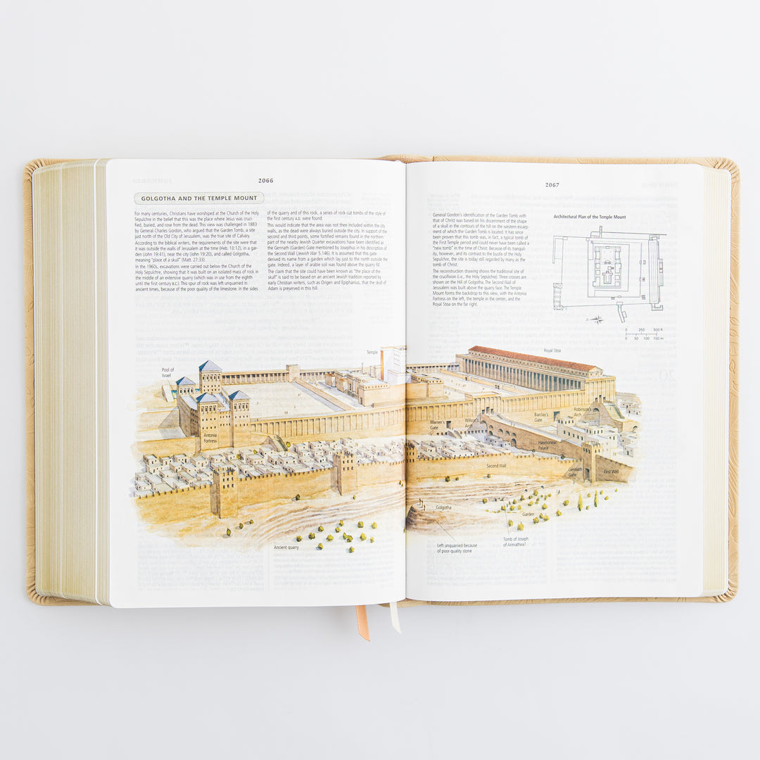 ESV Study Bible: Sonora Theme