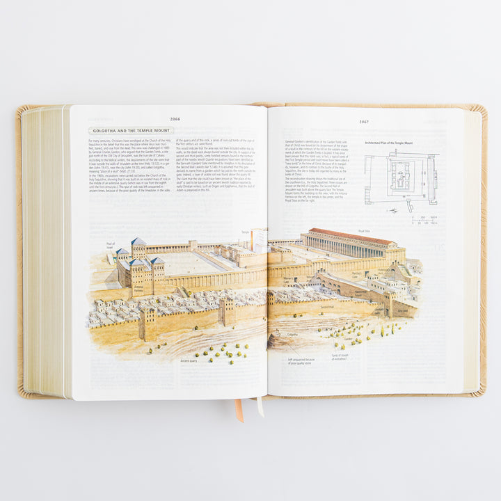 ESV Study Bible: Sonora Theme