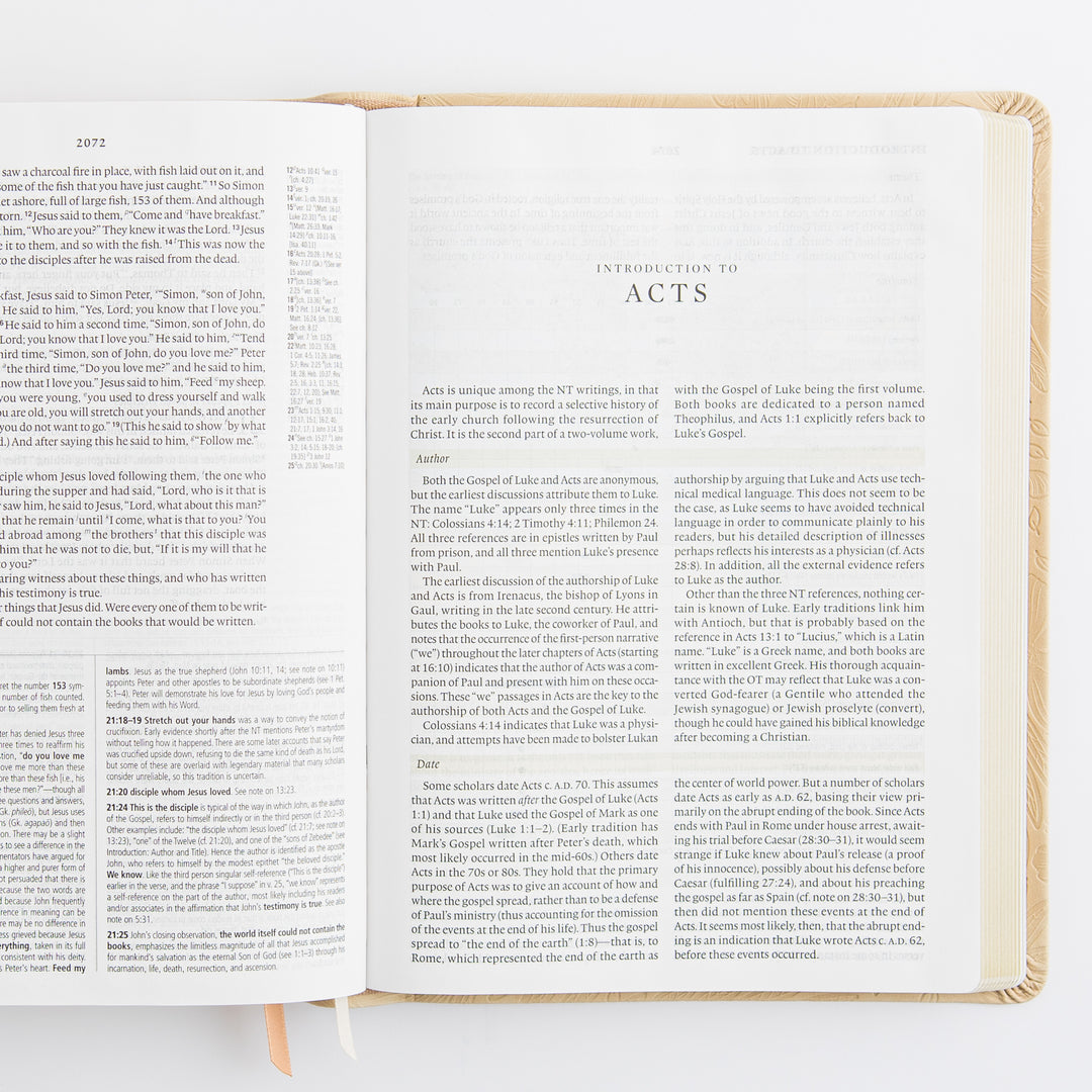 ESV Study Bible: Sonora Theme