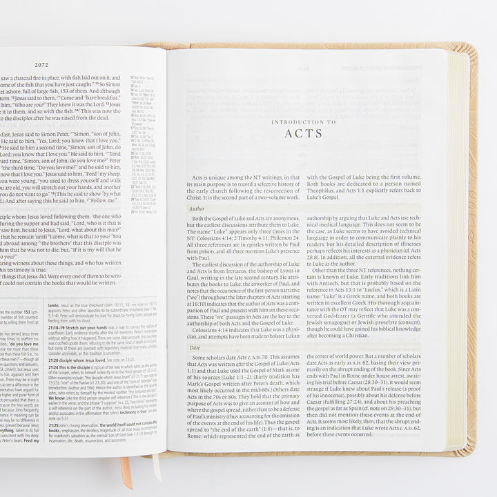 ESV Study Bible: Sonora Theme