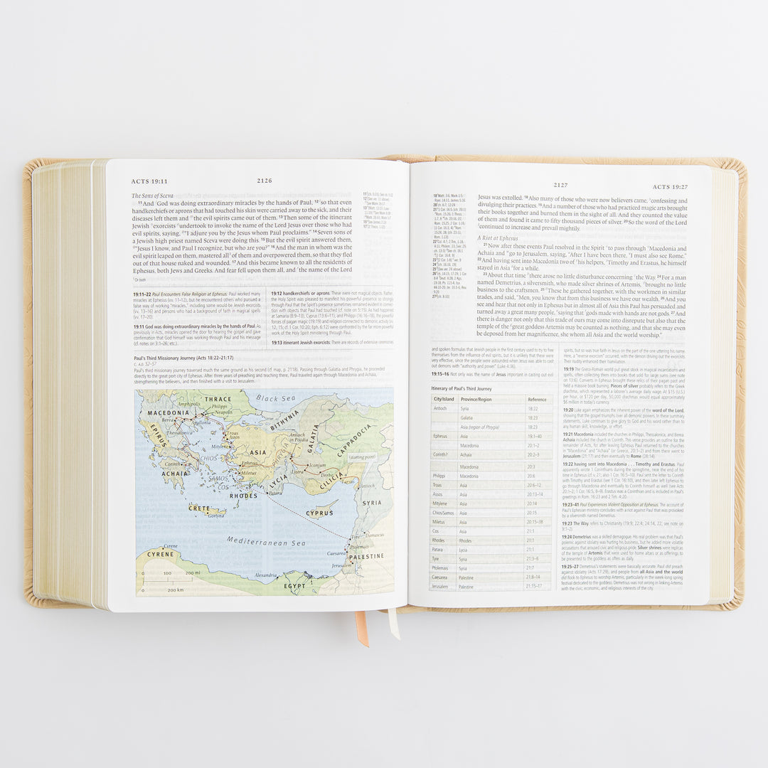 ESV Study Bible: Sonora Theme