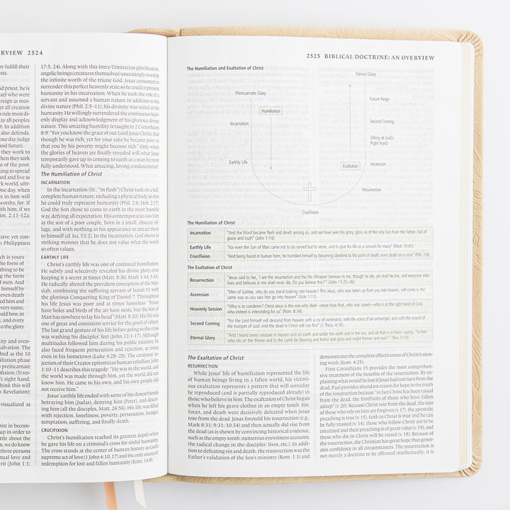 ESV Study Bible: Sonora Theme