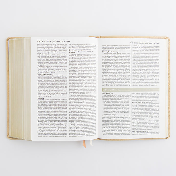 ESV Study Bible: Sonora Theme