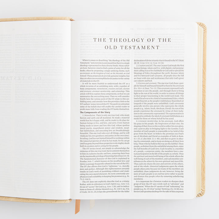 ESV Study Bible: Sonora Theme