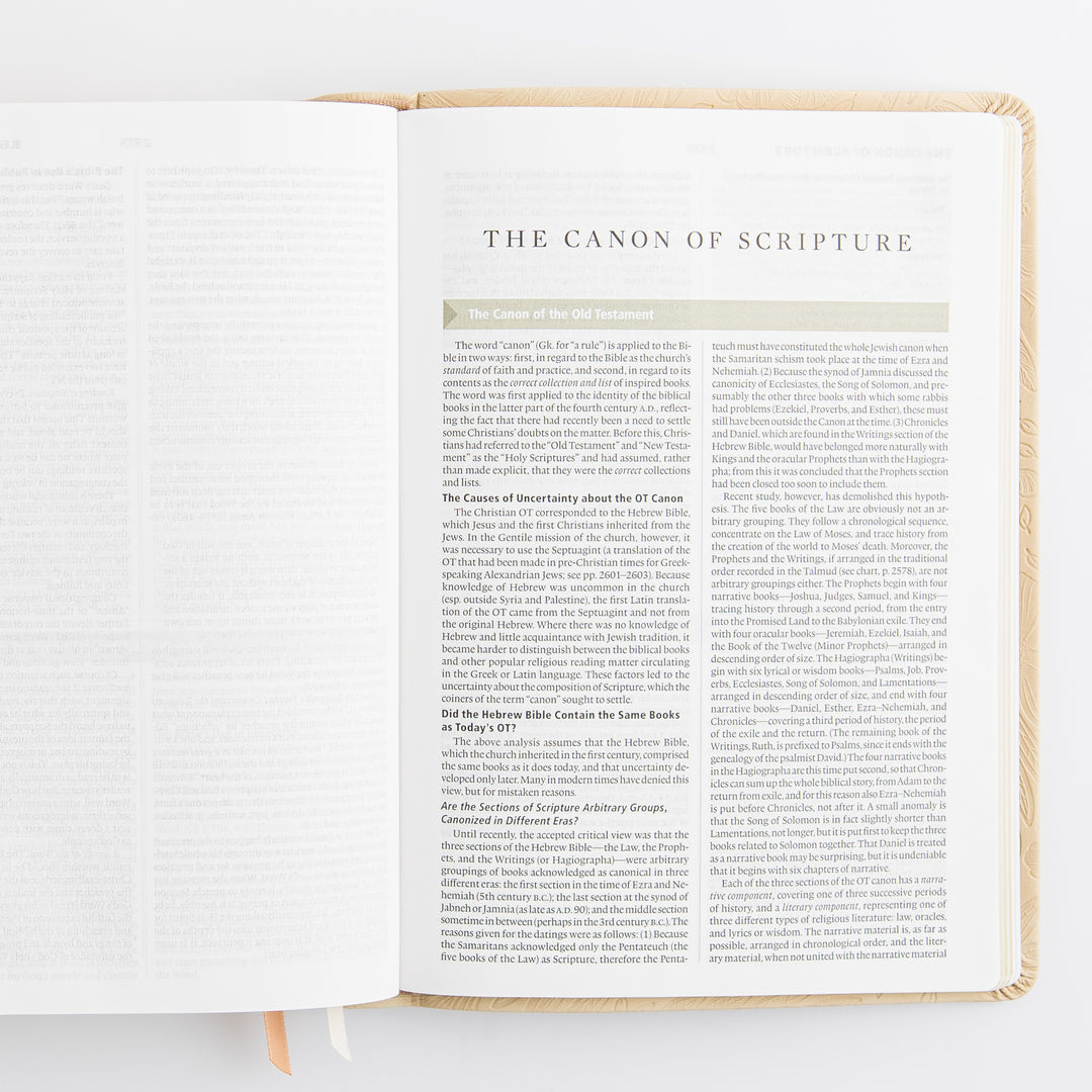 ESV Study Bible: Sonora Theme