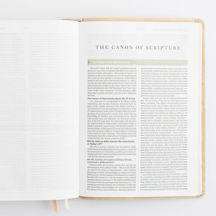 ESV Study Bible: Sonora Theme