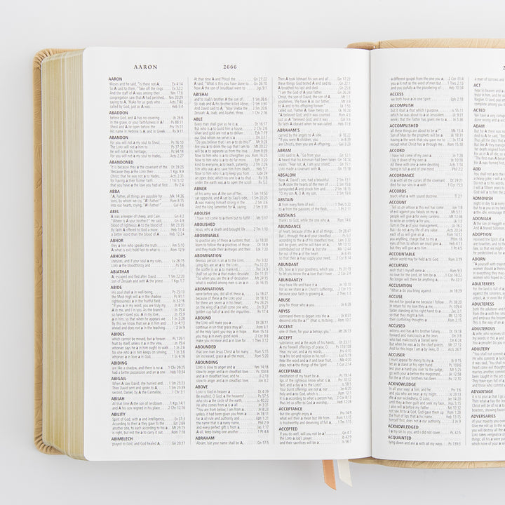 ESV Study Bible: Sonora Theme