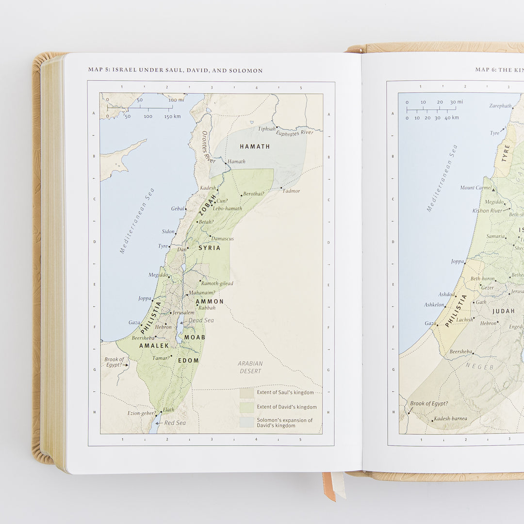 ESV Study Bible: Sonora Theme