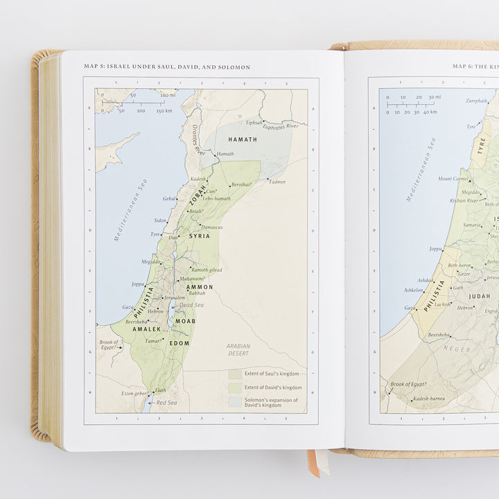 ESV Study Bible: Sonora Theme