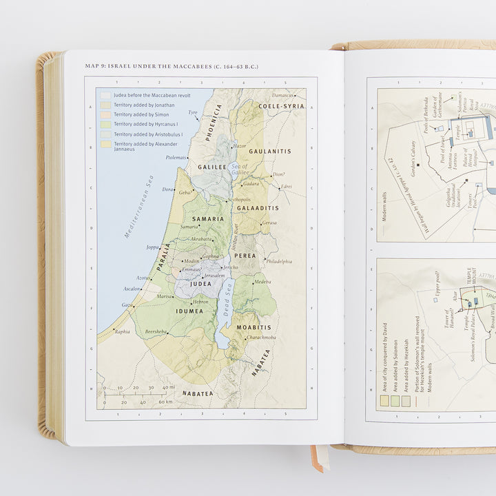 ESV Study Bible: Sonora Theme