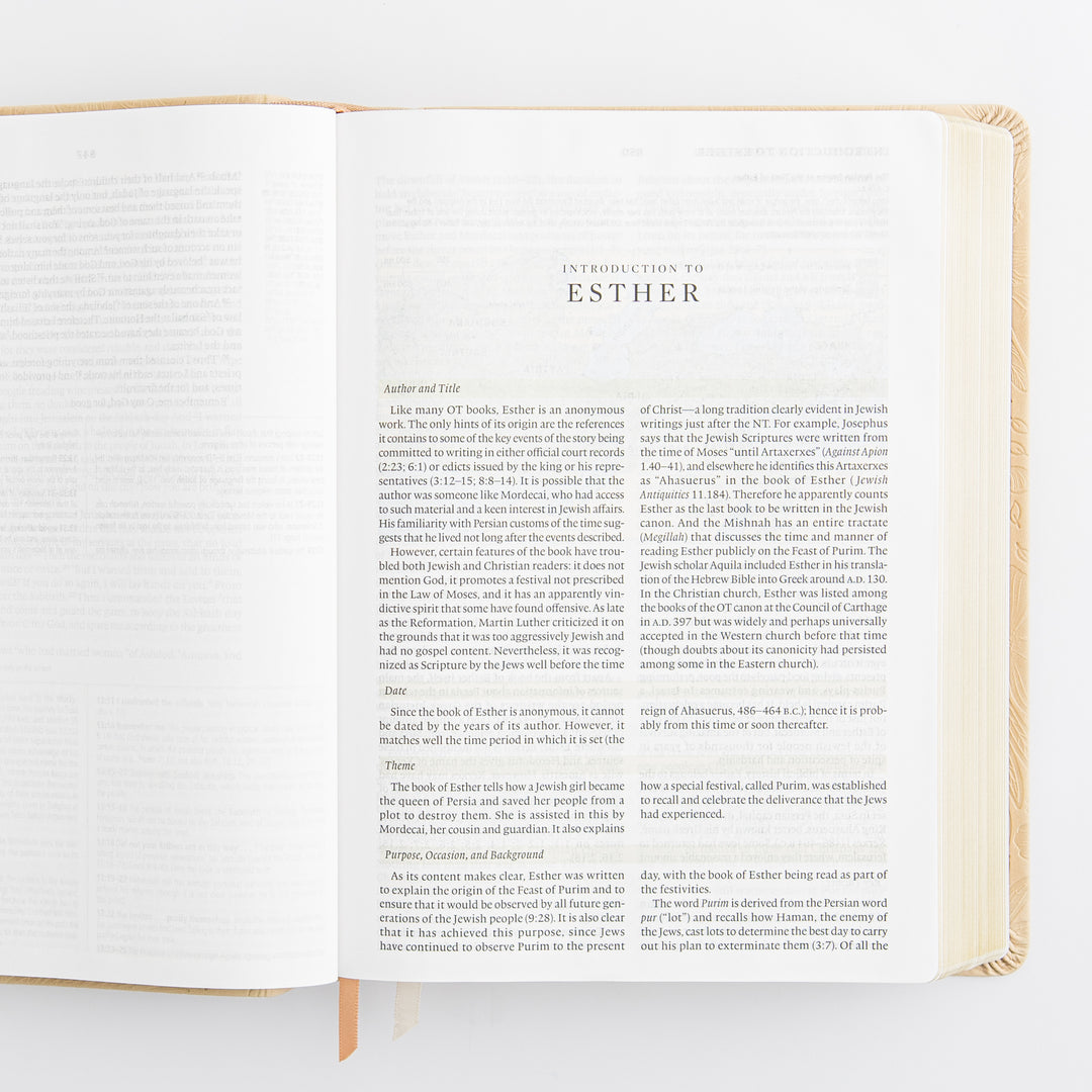 ESV Study Bible: Sonora Theme