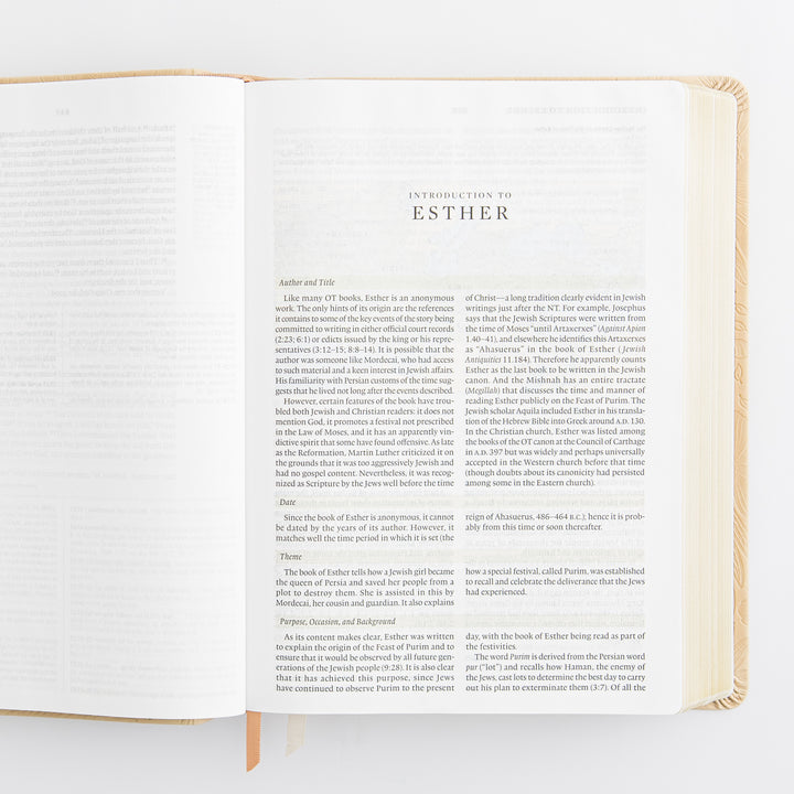 ESV Study Bible: Sonora Theme