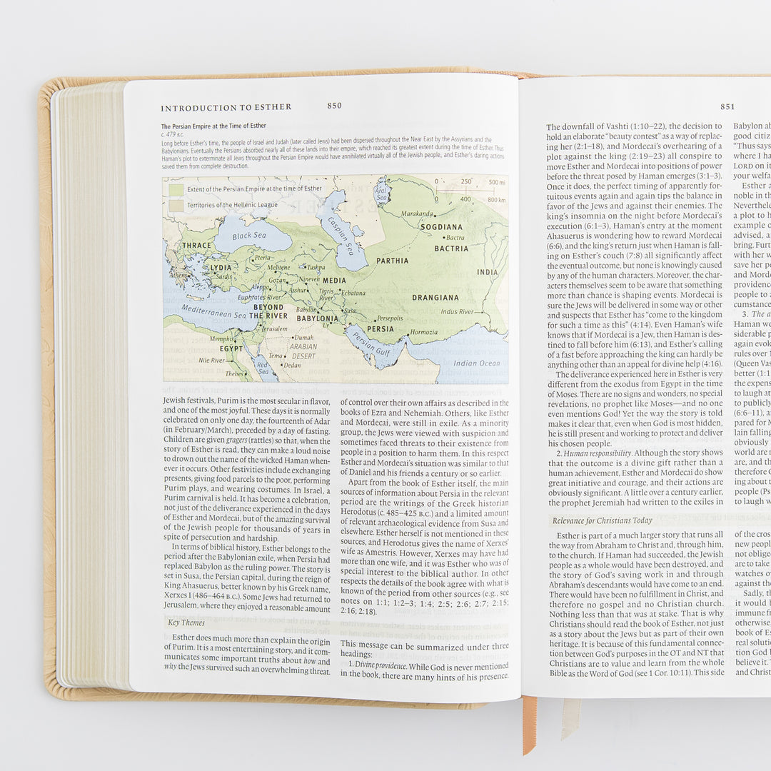 ESV Study Bible: Sonora Theme