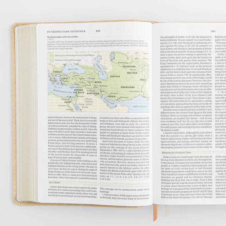 ESV Study Bible: Sonora Theme