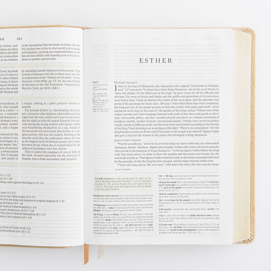 ESV Study Bible: Sonora Theme