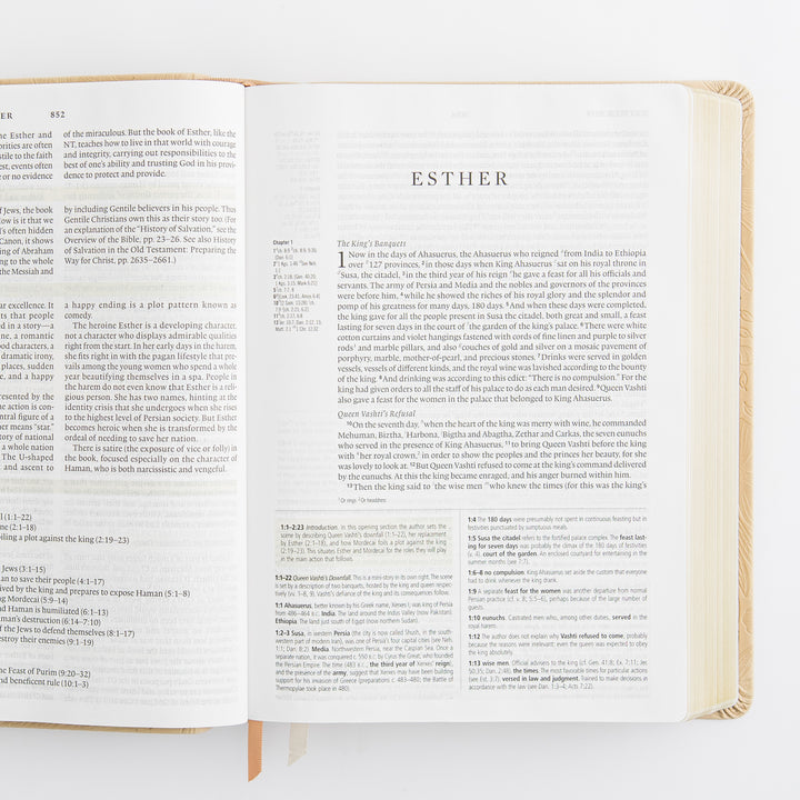 ESV Study Bible: Sonora Theme