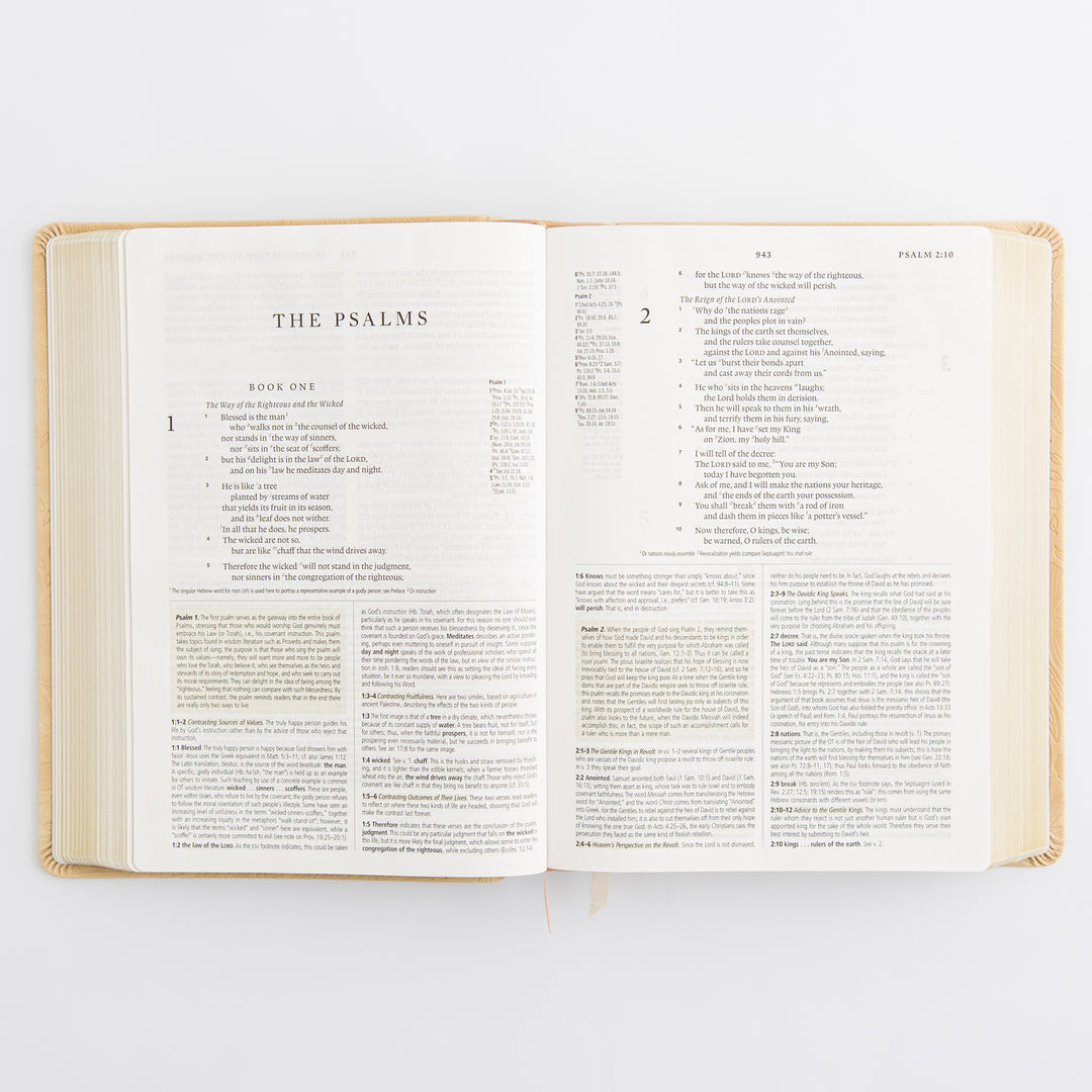 ESV Study Bible: Sonora Theme