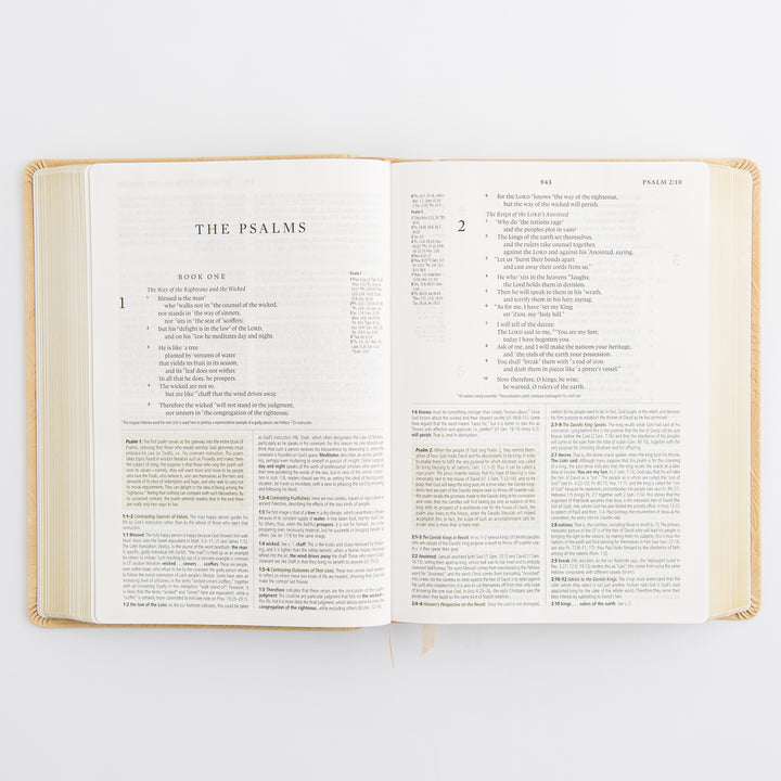 ESV Study Bible: Sonora Theme
