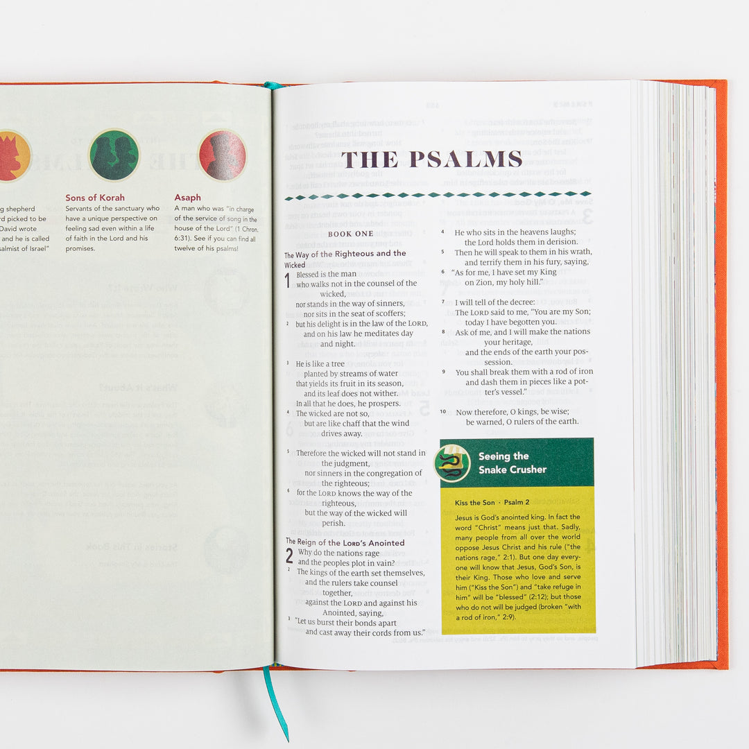 ESV The Biggest Story Holy Bible for Kids, Hardcover