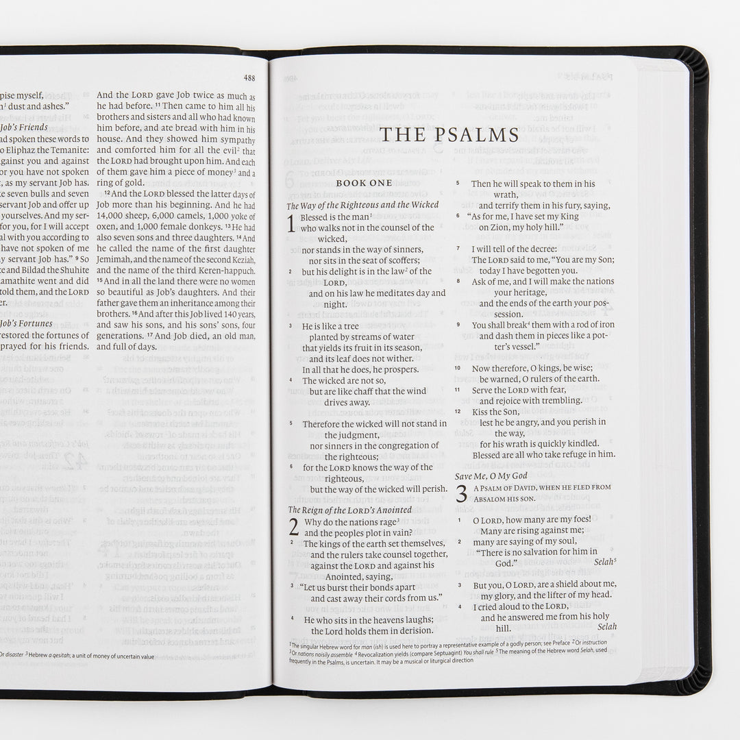 ESV Value Thinline Bible - TruTone - Black