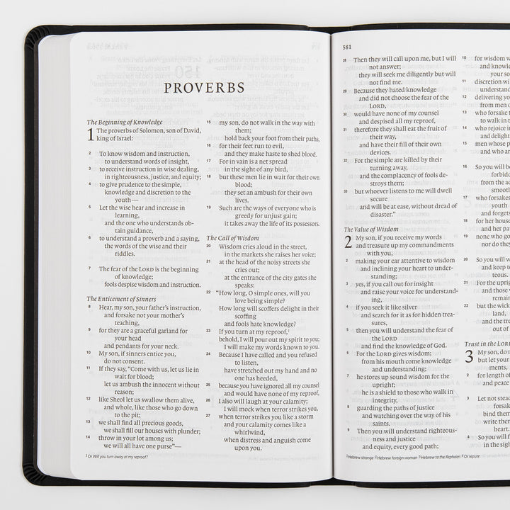 ESV Value Thinline Bible - TruTone - Black