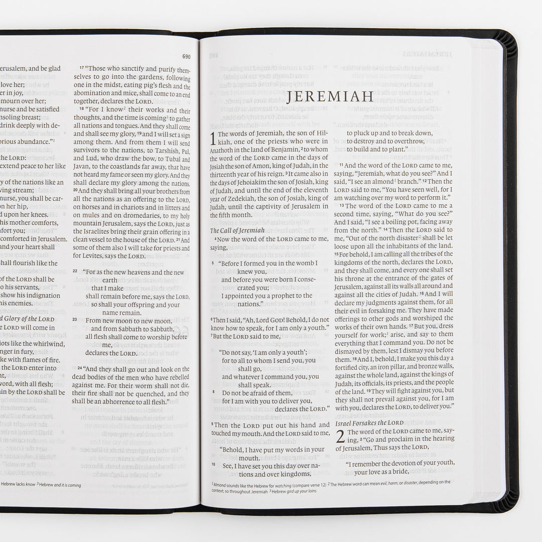 ESV Value Thinline Bible - TruTone - Black
