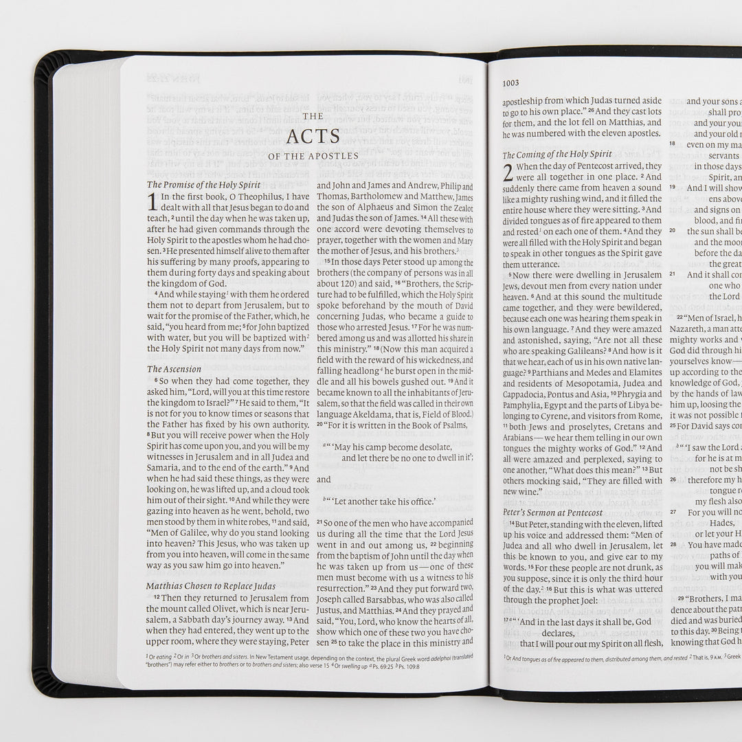 ESV Value Thinline Bible - TruTone - Black