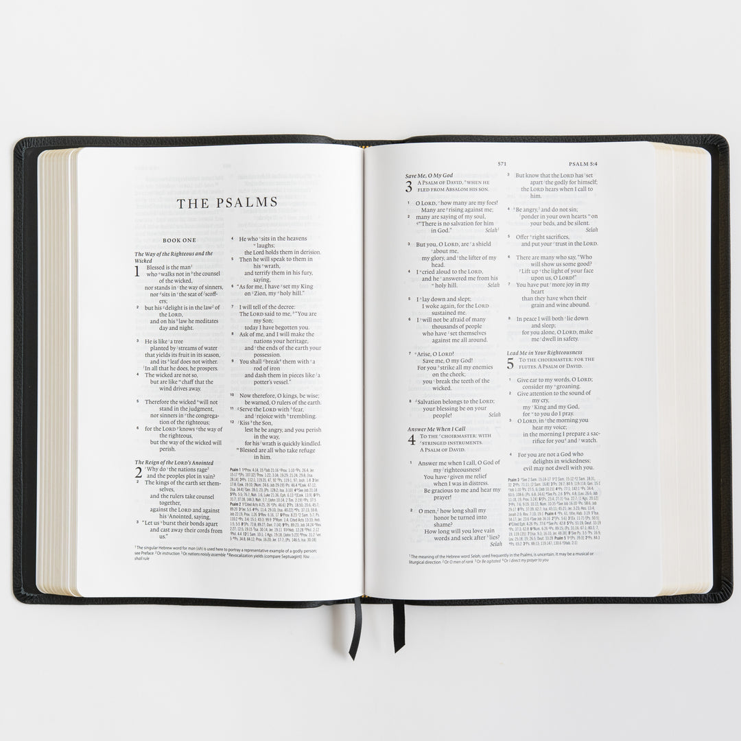 ESV Wide Margin Reference Bible, Red Letter - Top Grain Leather, Black