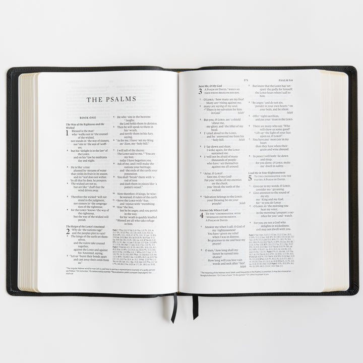 ESV Wide Margin Reference Bible, Red Letter - Top Grain Leather, Black