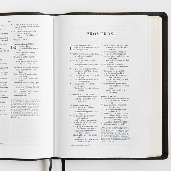 ESV Wide Margin Reference Bible, Red Letter - Top Grain Leather, Black