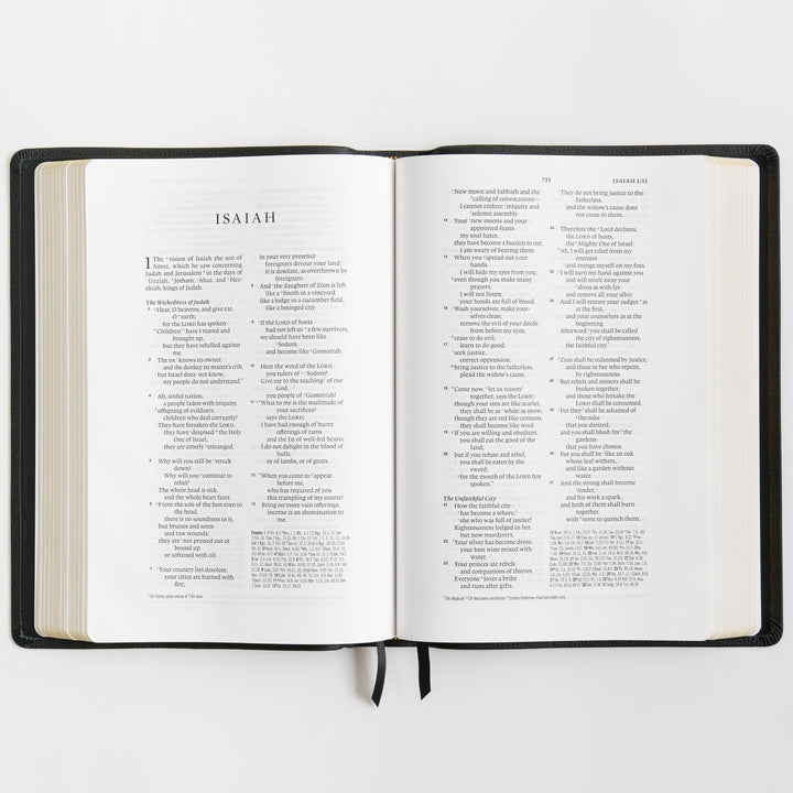 ESV Wide Margin Reference Bible, Red Letter - Top Grain Leather, Black