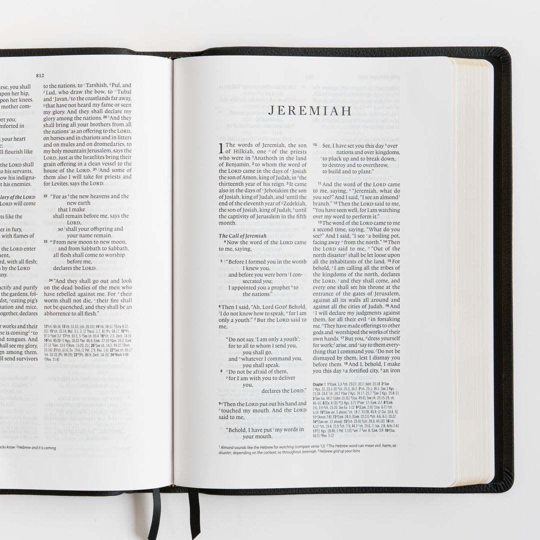 ESV Wide Margin Reference Bible, Red Letter - Top Grain Leather, Black