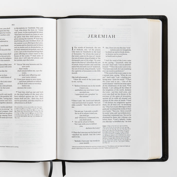 ESV Wide Margin Reference Bible, Red Letter - Top Grain Leather, Black