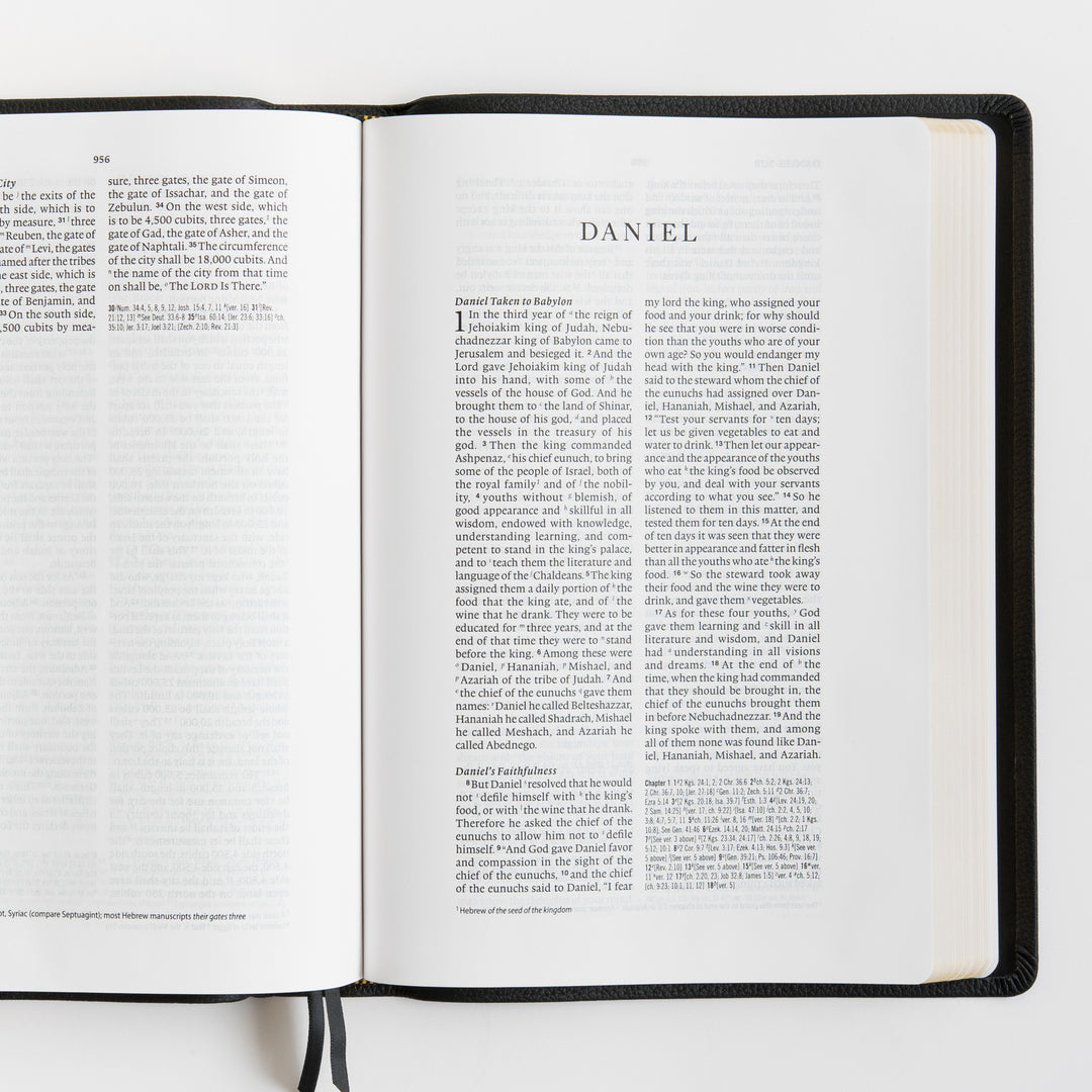ESV Wide Margin Reference Bible, Red Letter - Top Grain Leather, Black