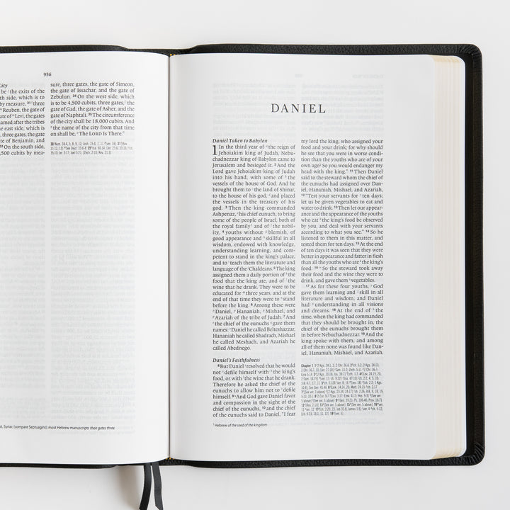 ESV Wide Margin Reference Bible, Red Letter - Top Grain Leather, Black