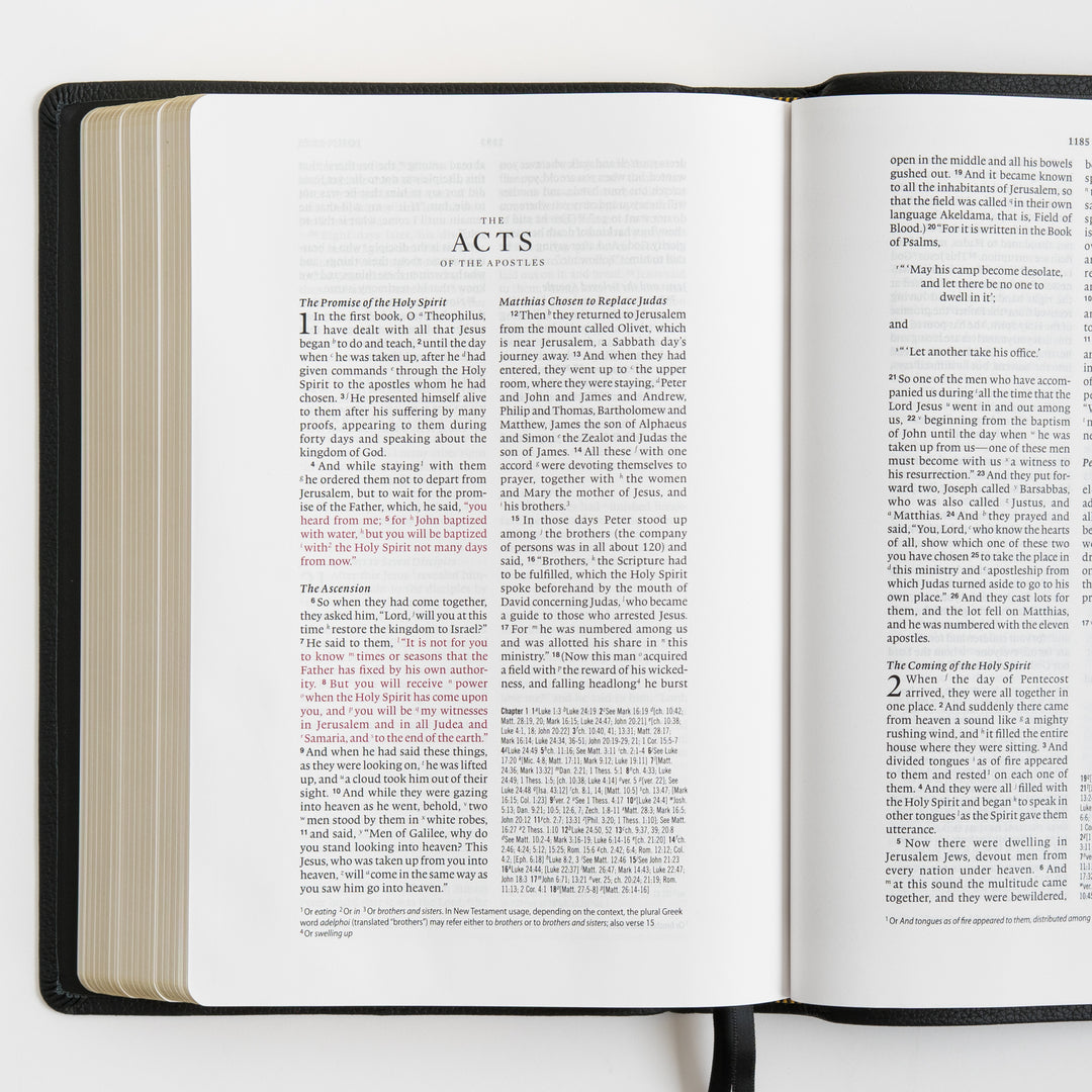 ESV Wide Margin Reference Bible, Red Letter - Top Grain Leather, Black