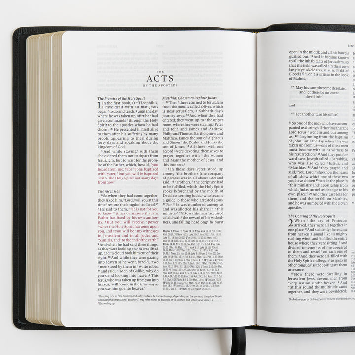 ESV Wide Margin Reference Bible, Red Letter - Top Grain Leather, Black
