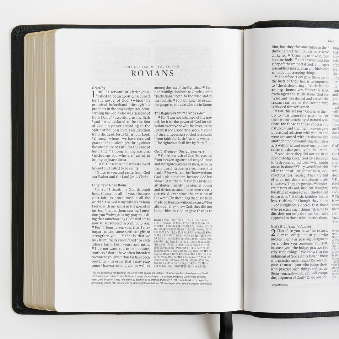 ESV Wide Margin Reference Bible, Red Letter - Top Grain Leather, Black