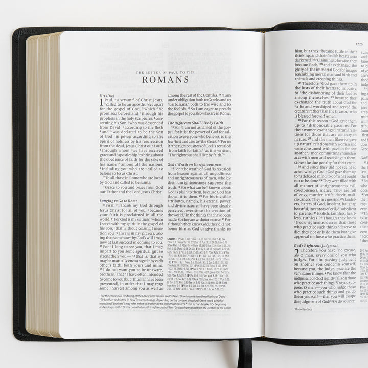 ESV Wide Margin Reference Bible, Red Letter - Top Grain Leather, Black