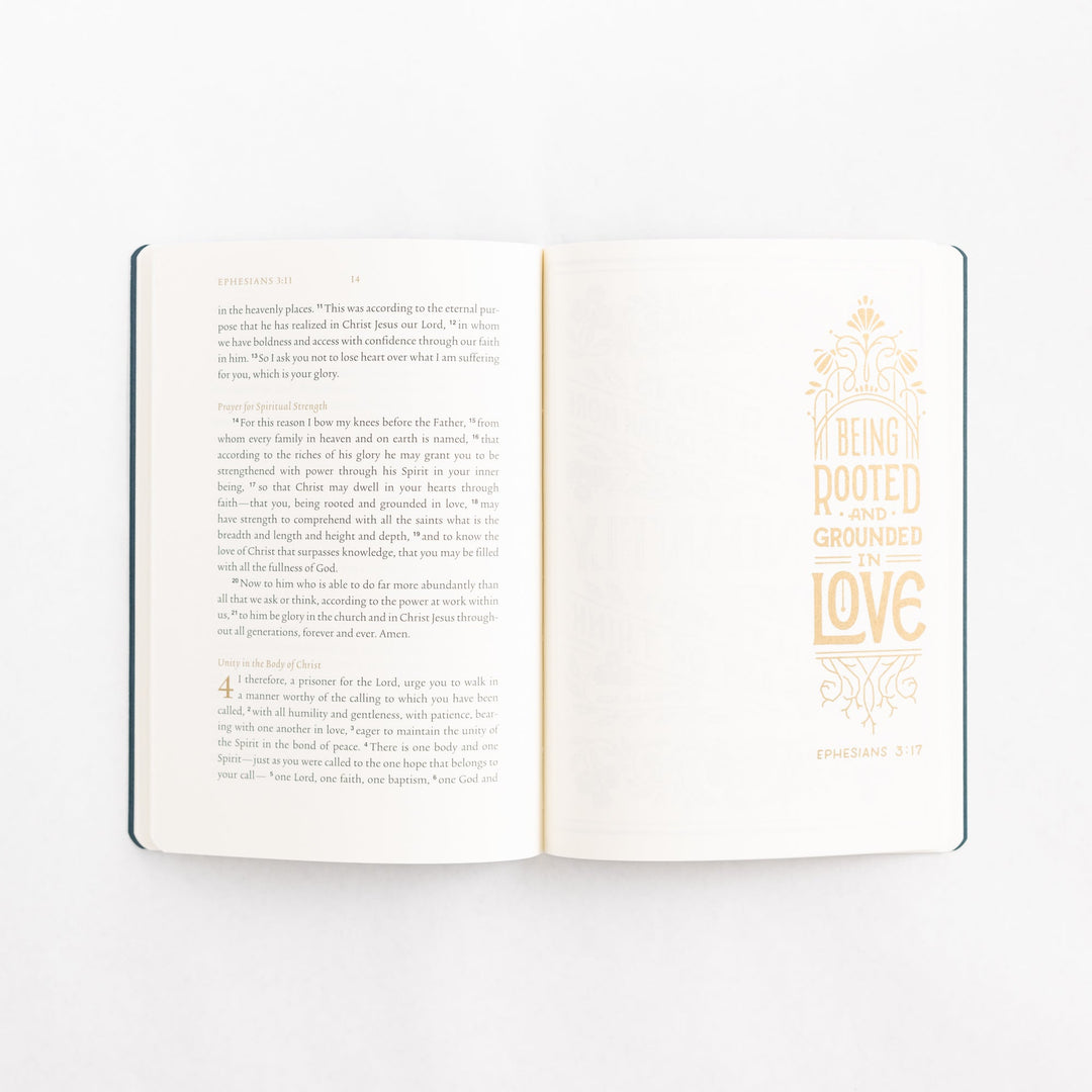 ESV Illuminated Scripture Journal: Ephesians