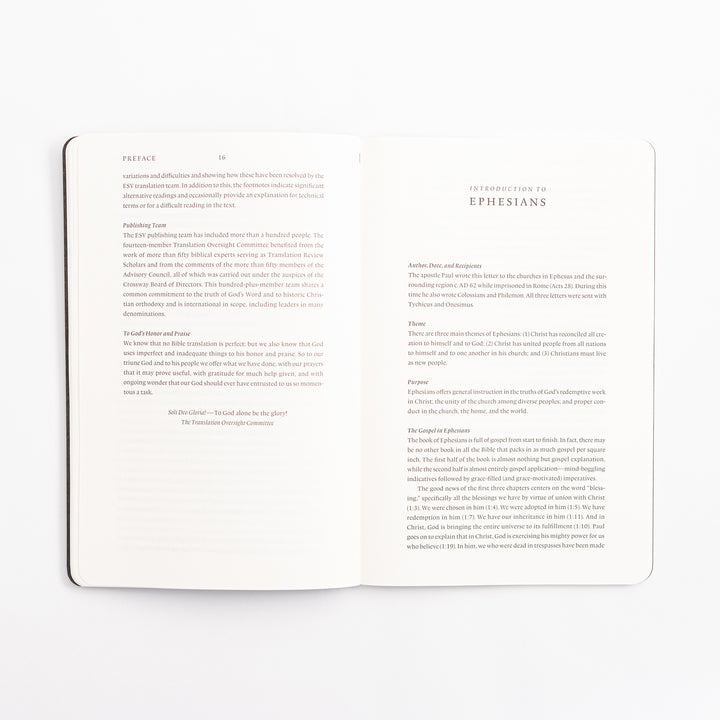 ESV Scripture Journal - Ephesians Study Edition