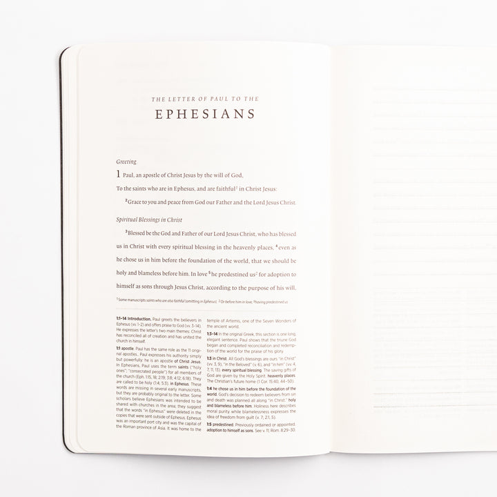 ESV Scripture Journal - Ephesians Study Edition
