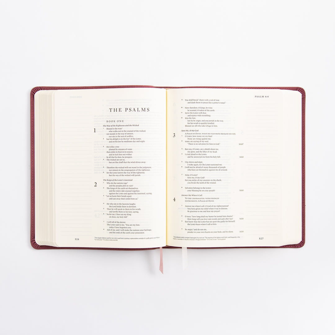 ESV Journaling Bible - Helena Theme
