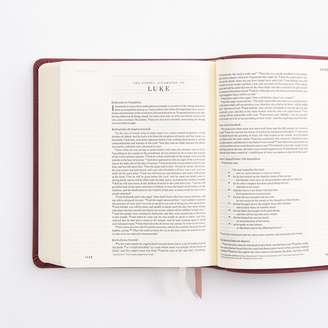 ESV Journaling Bible - Helena Theme