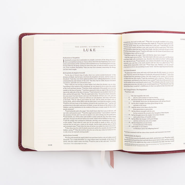ESV Journaling Bible - Helena Theme