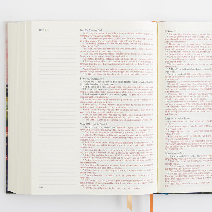 KJV Large Print Notetaking Bible - Cloth Over Board - Coram Theme