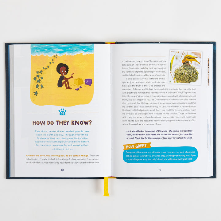 How Great Is Our God - 100 Indescribable Devotions About God and Science